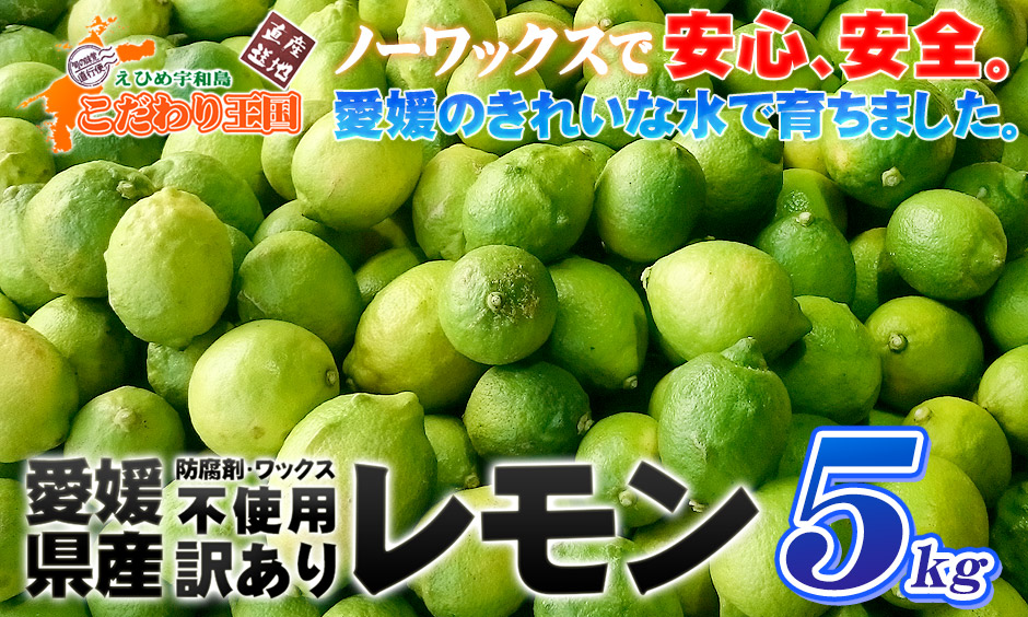 お得】 高知県産 璃の香レモン 約1.5kg www.basexpert.com.br