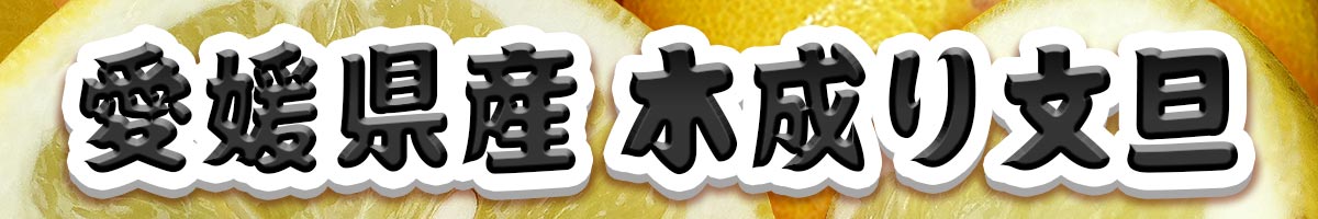 木成り土佐文旦