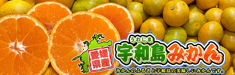 愛媛みかんのこだわり王国 本店 / オフィシャルショップ / 愛媛県産