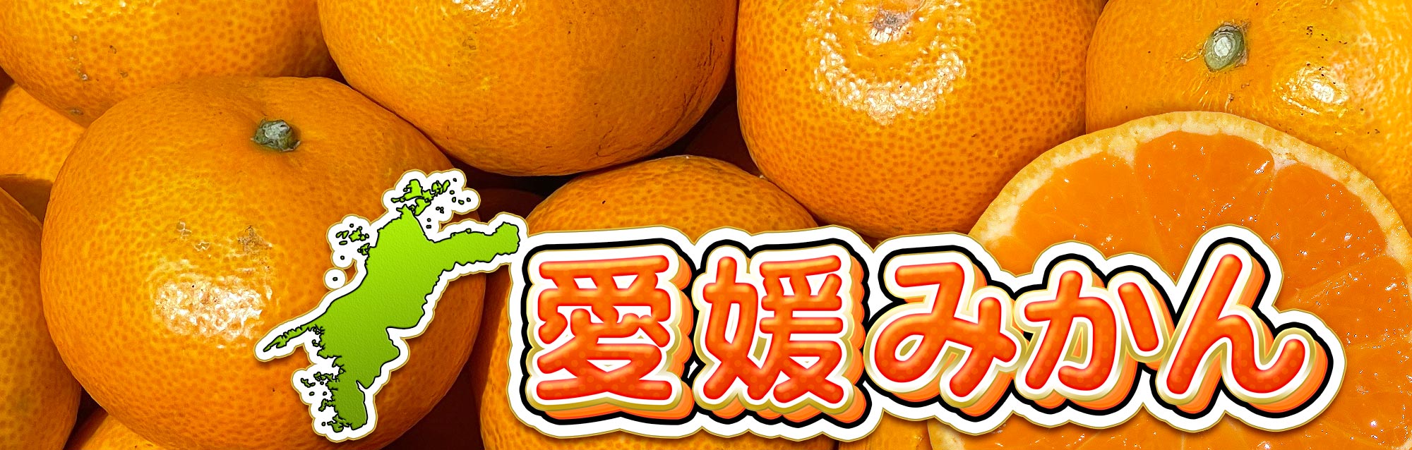 訳あり愛媛みかん