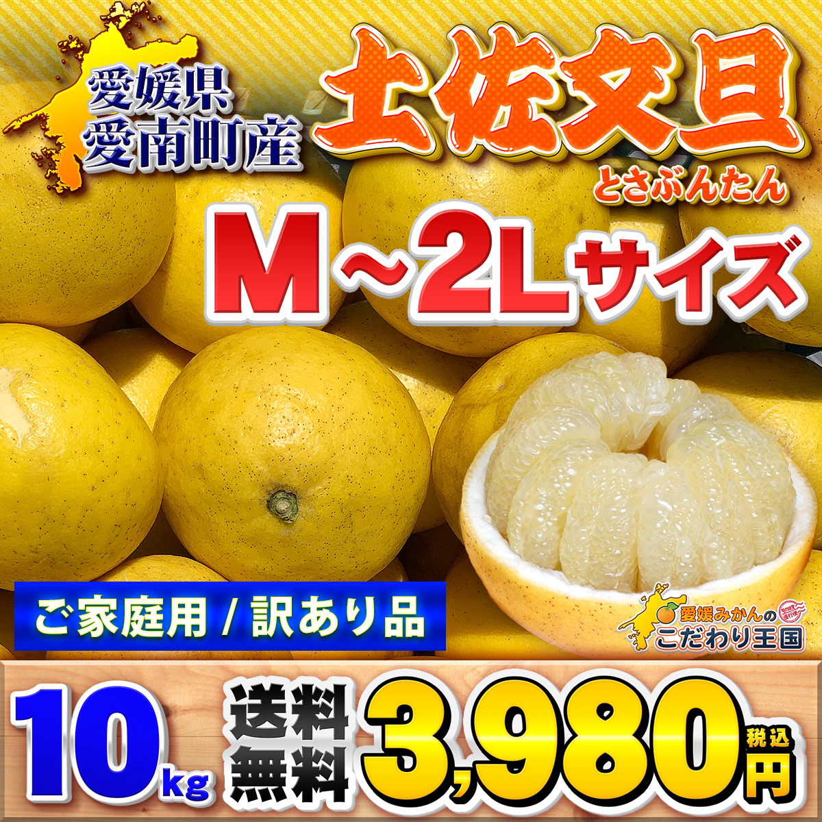 愛媛県産 土佐文旦M-2Lサイズ