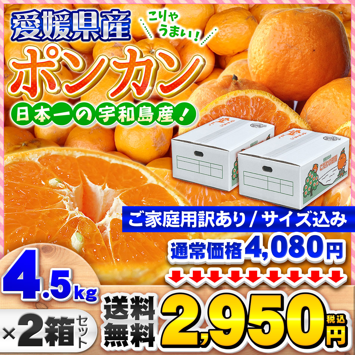ポンカン4.5kg×2箱