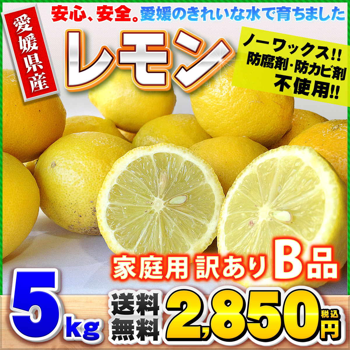 訳ありレモンB品5kg
