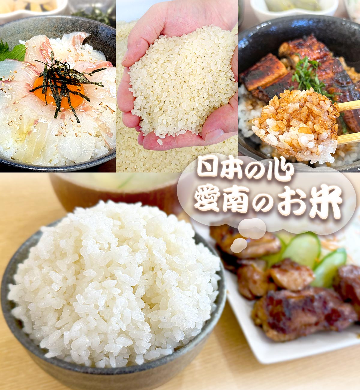 【みかんさま】令和６年産　白米(玄米10K相当)　にこまる　福岡の米 みかんさま】令和6年産 白米(玄米10K相当) にこまる 福岡の米