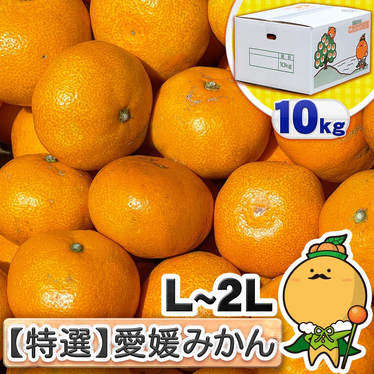 愛媛みかんのこだわり王国 本店 ／ オフィシャルショップ / 特選