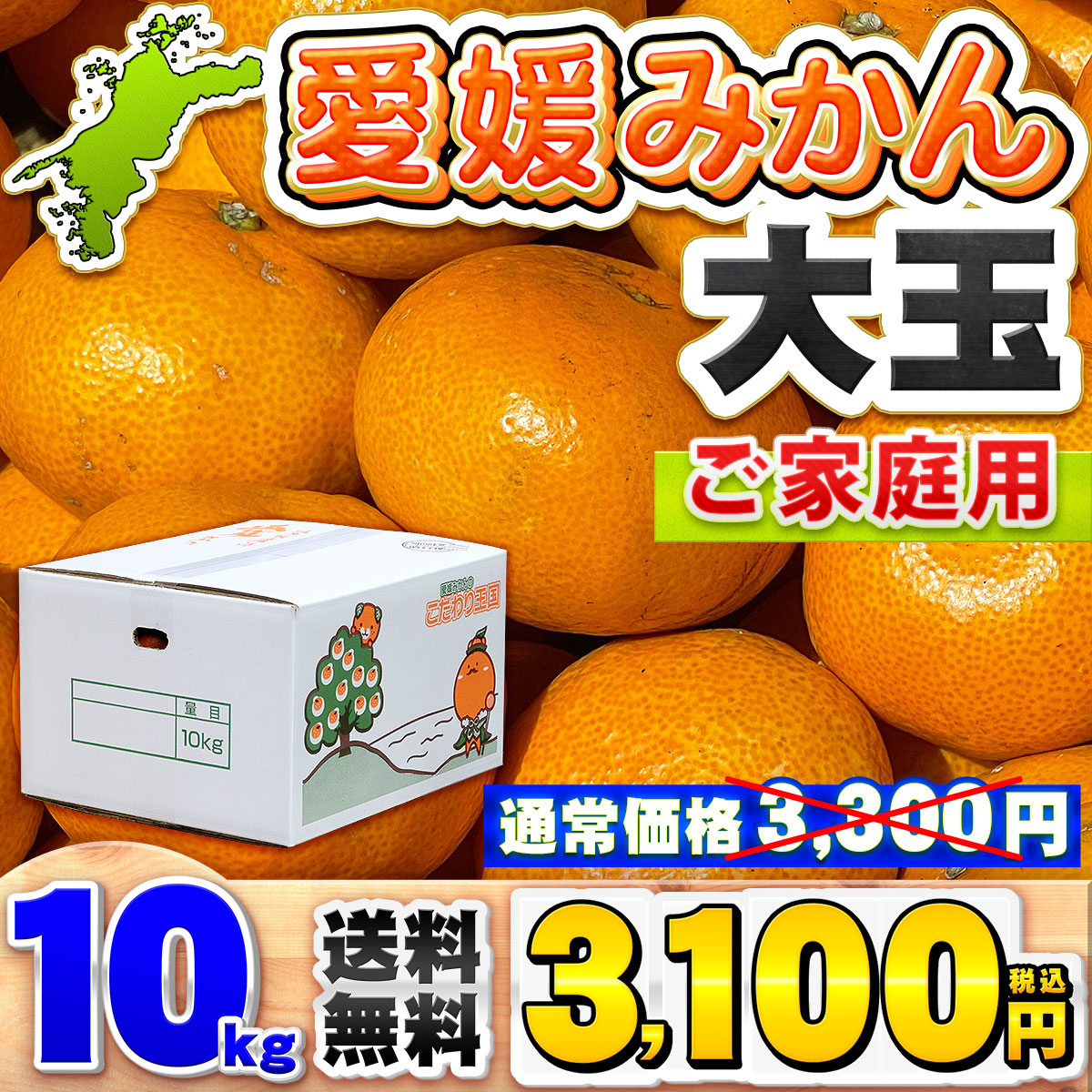 訳あり大玉みかん10kg