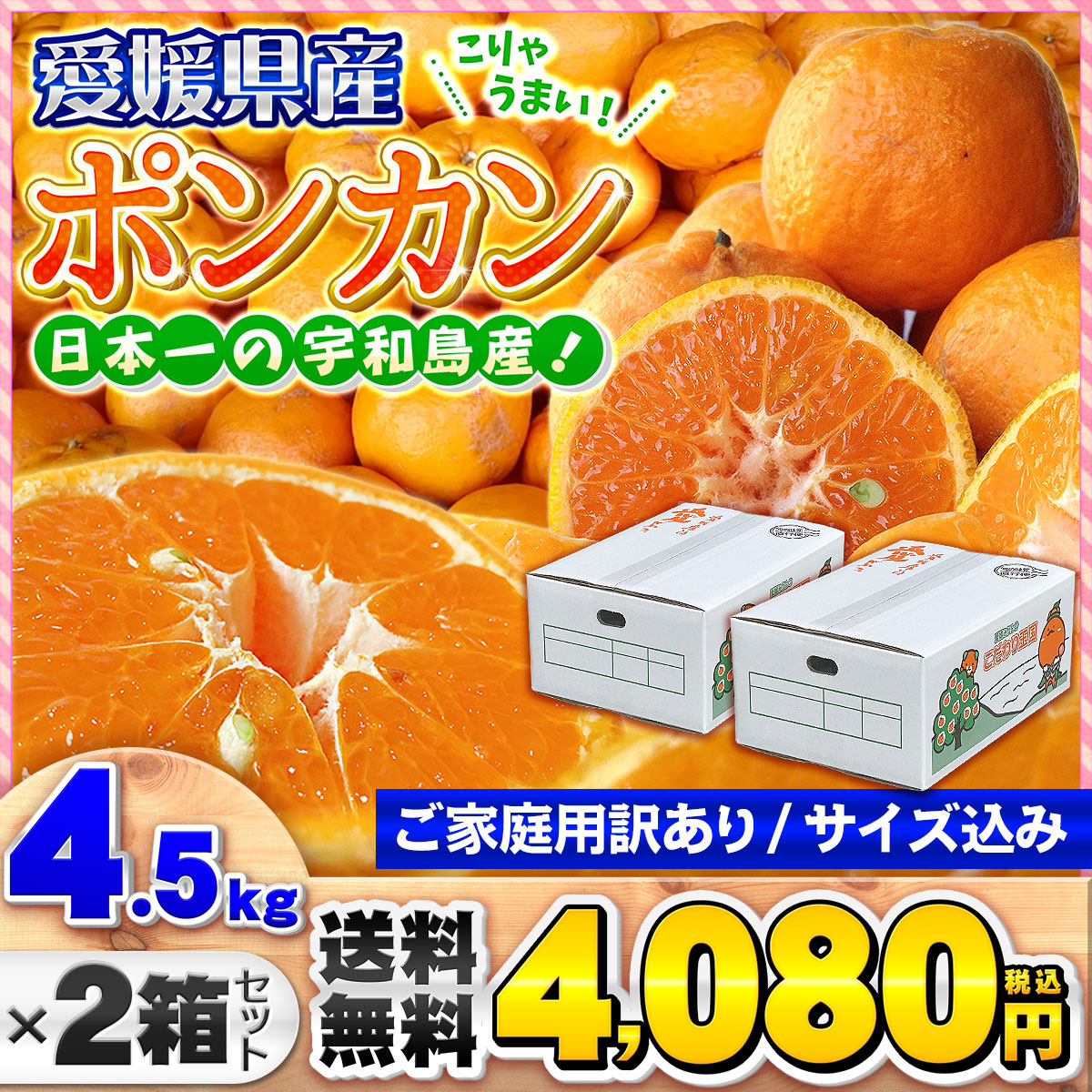 ポンカン4.5kg×2箱